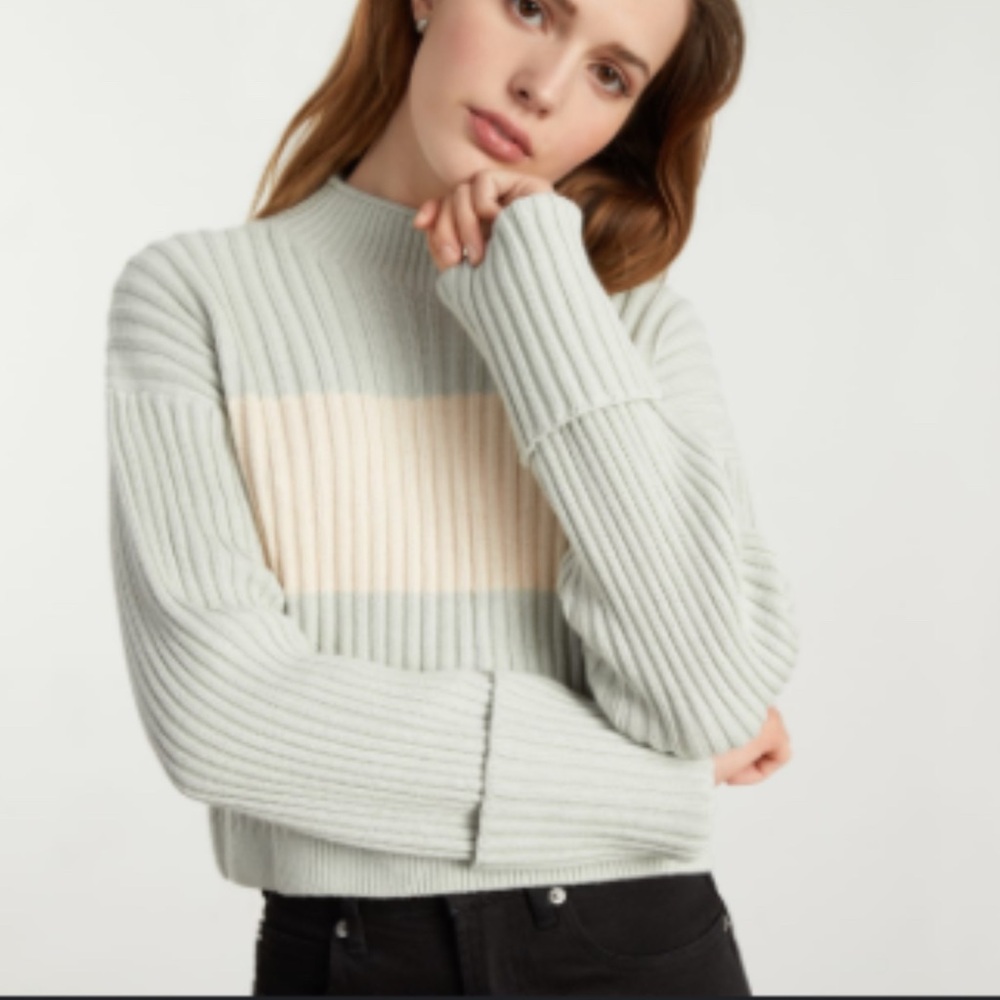 Everlane Ribbed Rollneck Sweater